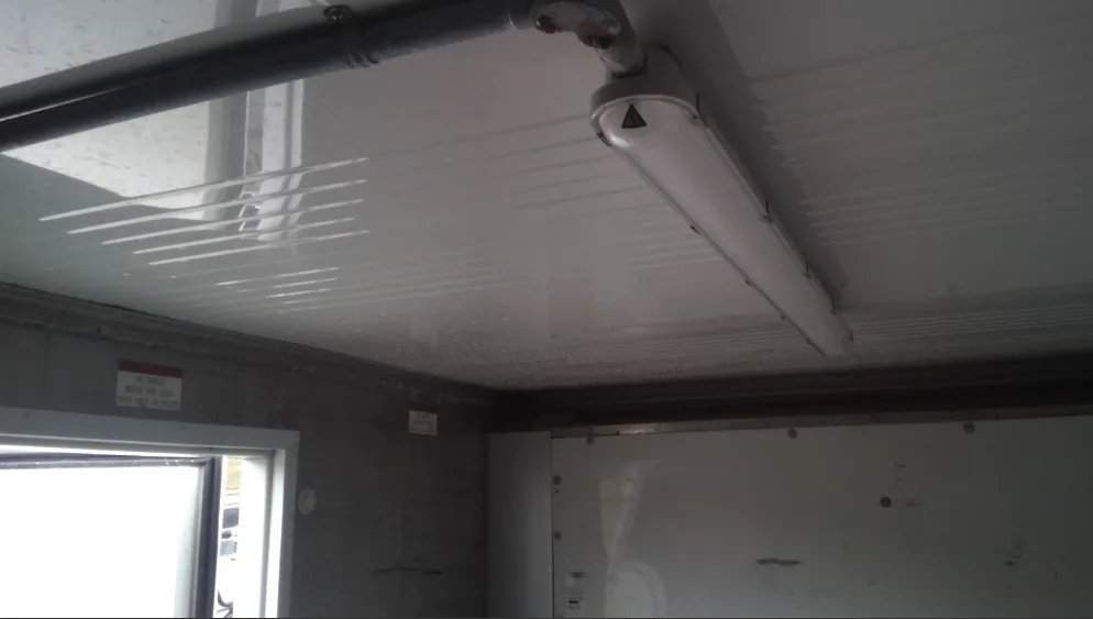 20ft Dual-End Refrigerated Shipping Container - Image 3